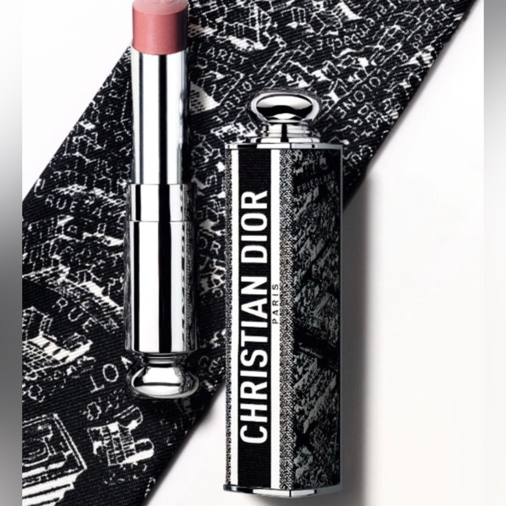 DIOR LIMITED EDITION Plan de Paris Collection Dior Addict Lipstick Case - Picture 5 of 6